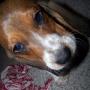 Marcy May Photo 31