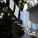 Laura Bunting Photo 7