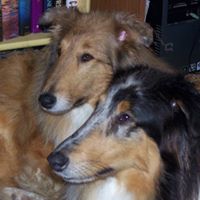 Lynn Brown Photo 8