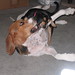 Abby Walker Photo 8