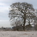 Garry Biggs Photo 6