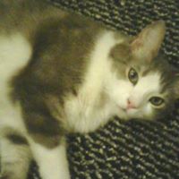 Felix Monroe Photo 10