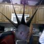 Chris Byrum Photo 17