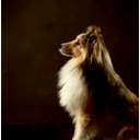 Bernard Tan Photo 31