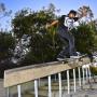 Dan Roberts Photo 34