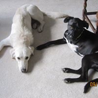 Debra Hirsch Photo 24