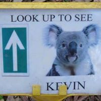 Kevin Hoare Photo 20