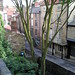 Robin Street Photo 9