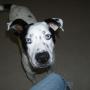 Mary Carothers Photo 32