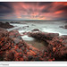 Michael Gwyn Photo 10
