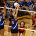 Melissa Wachs Photo 2
