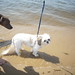 Chloe Lester Photo 5