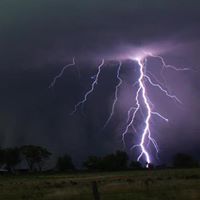 Mark Forbes Photo 16