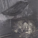 Kerrie Crow Photo 2