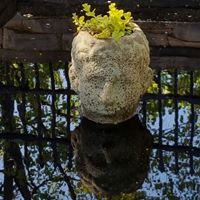 Lori Swingle Photo 5