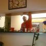Scott Robison Photo 13