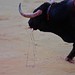 Francisco Aguilar Photo 16