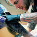 Kevin Mata Photo 2