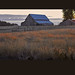 Rita Fields Photo 16