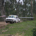 Greg Gibson Photo 5