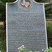 William Kinsolving Photo 2