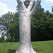 Robert Palms Photo 7
