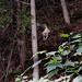 Rick Gagnon Photo 8