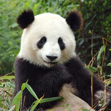 Jim Zhou Photo 19