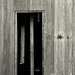 Joseph Doyle Photo 19