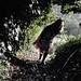 Andrea Lewis Photo 11