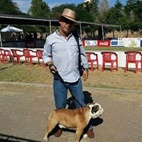 Mauricio Chaires Photo 6