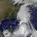 Nicole Storms Photo 5