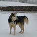 Gary Vanstone Photo 5