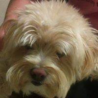 Donna Pilkington Photo 8