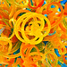 Art Phipps Photo 10
