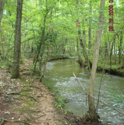 Byron Wood Photo 31