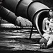 Emily Li Photo 9