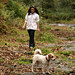Young Wood Photo 7