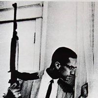 Maurice Adams Photo 20