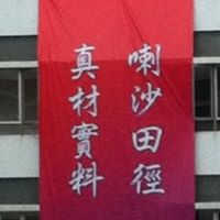 Chi Lam Photo 21