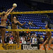 Holly Shanks Photo 6
