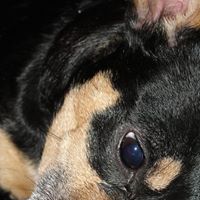 Stevie Griffin Photo 14