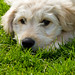 Woody Lay Photo 9