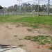 Dolores Brown Photo 5