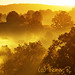 Misty West Photo 15
