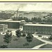 C White Photo 9