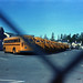Erin Buss Photo 4