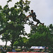 Wade Morgan Photo 12