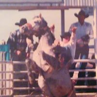 Michael Lassiter Photo 32