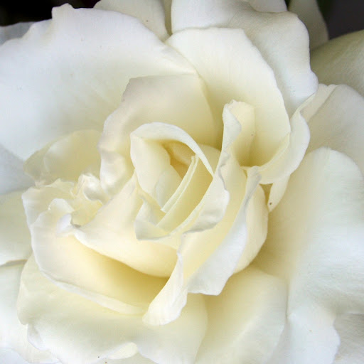 Julie Patten Photo 14
